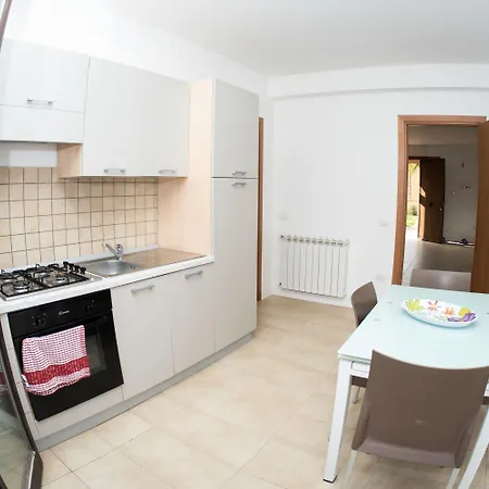 Prokite Alby Rondina - - Birgi Vecchi