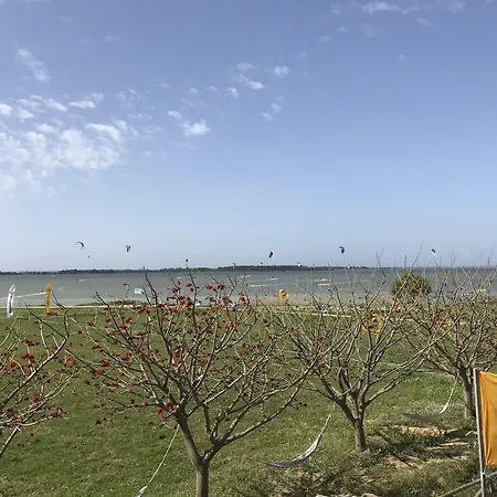 Prokite Alby Rondina - - *