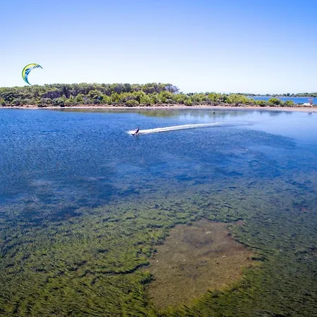 Prokite Alby Rondina - - Birgi Vecchi